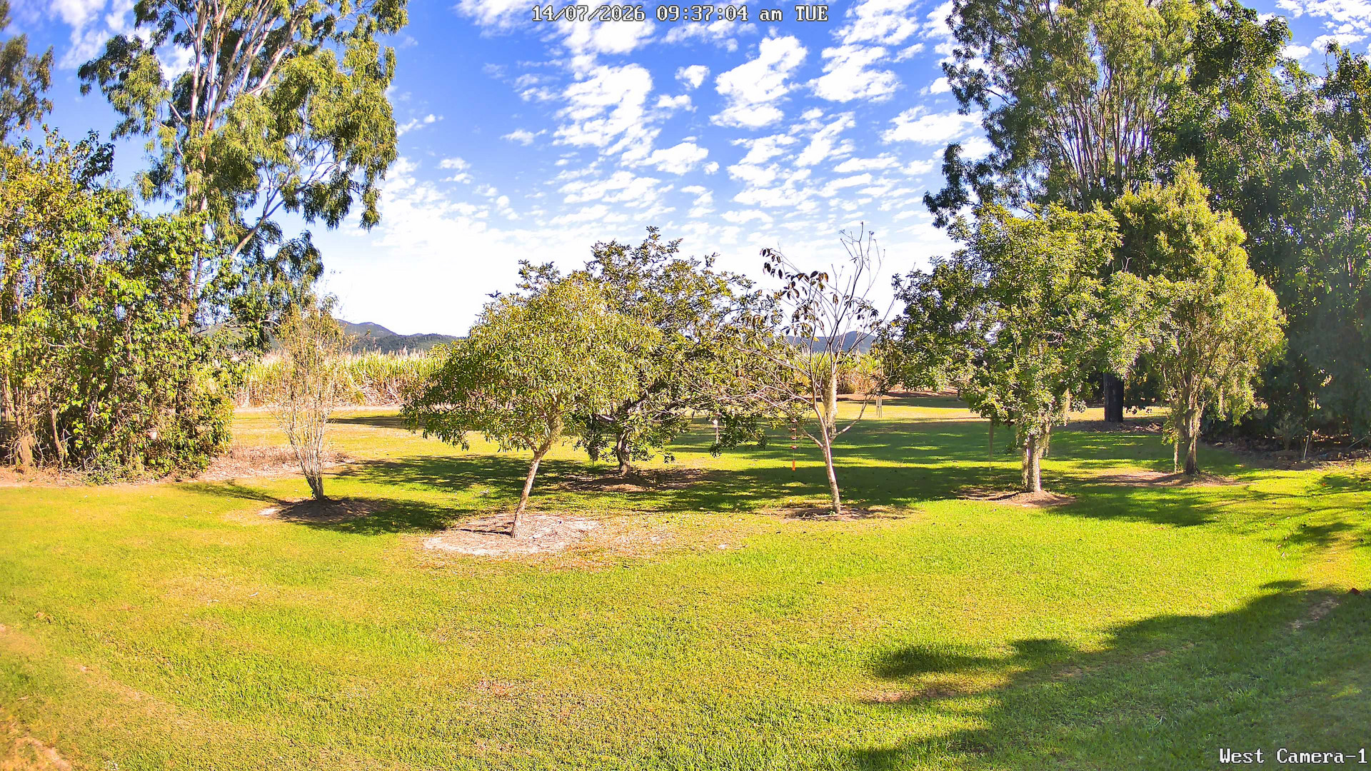 time-lapse frame, KelseyCreek West View webcam