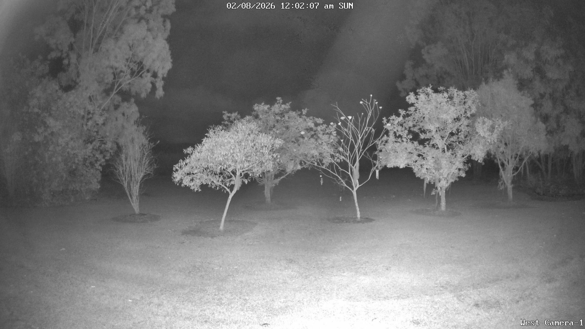 time-lapse frame, KelseyCreek West View webcam