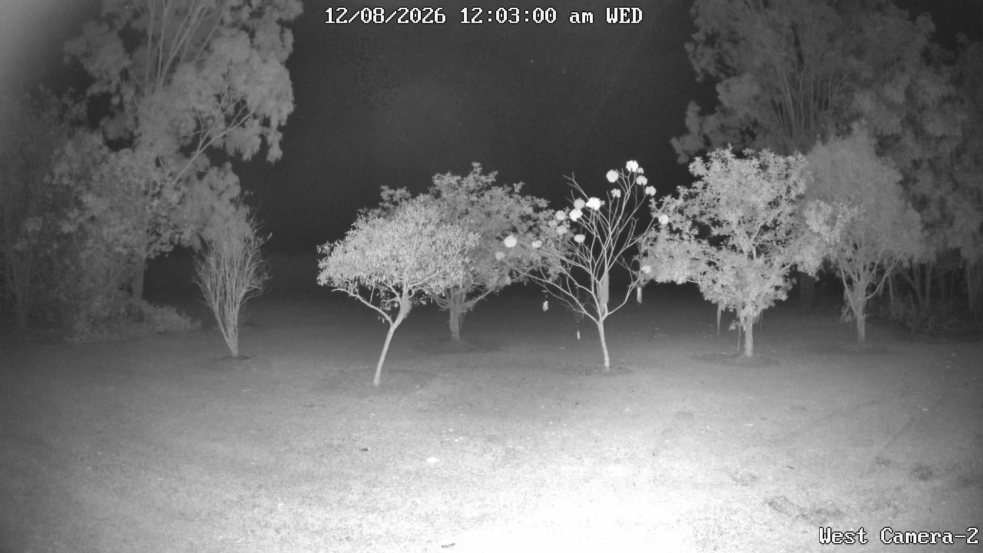 time-lapse frame, KelseyCreek West View webcam