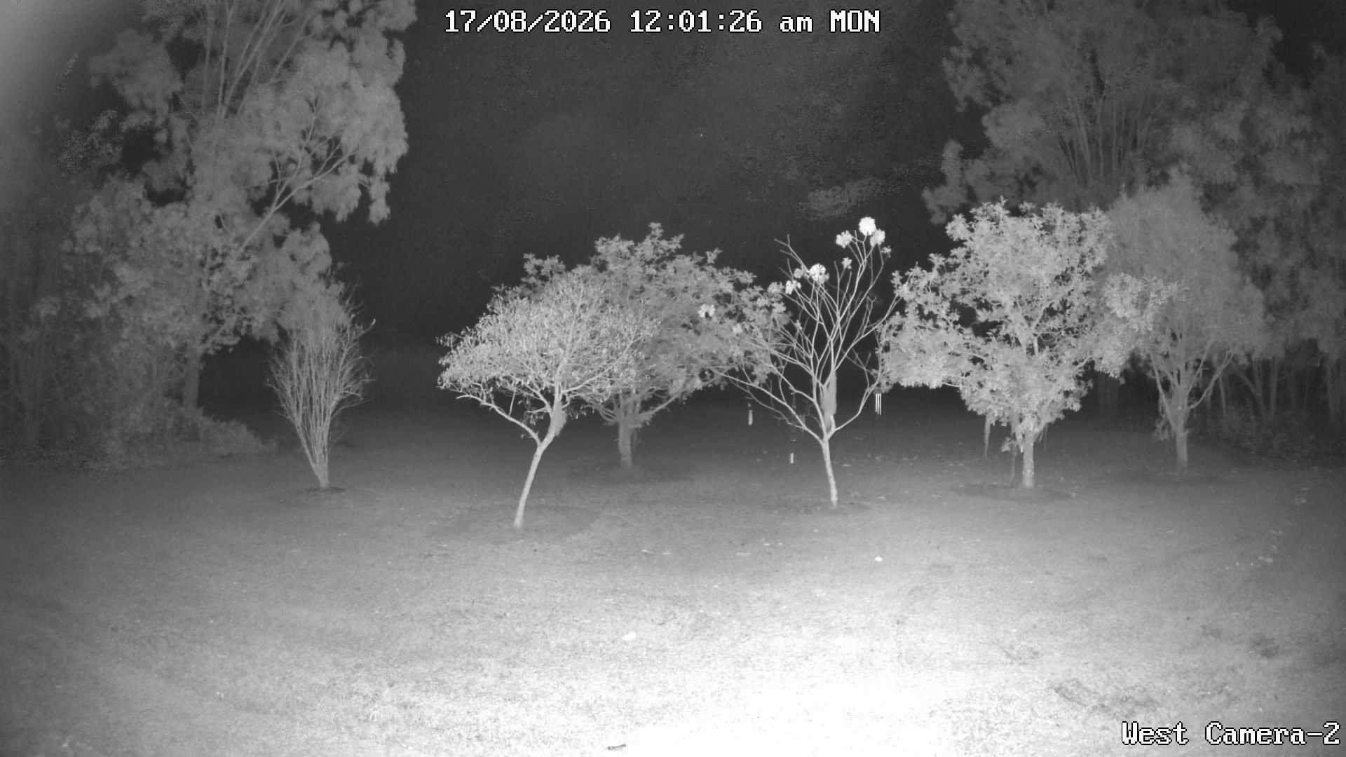 time-lapse frame, KelseyCreek West View webcam