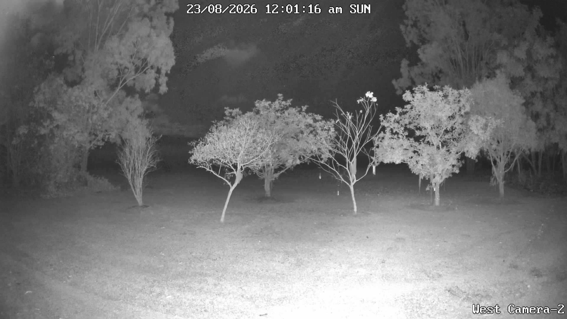 time-lapse frame, KelseyCreek West View webcam