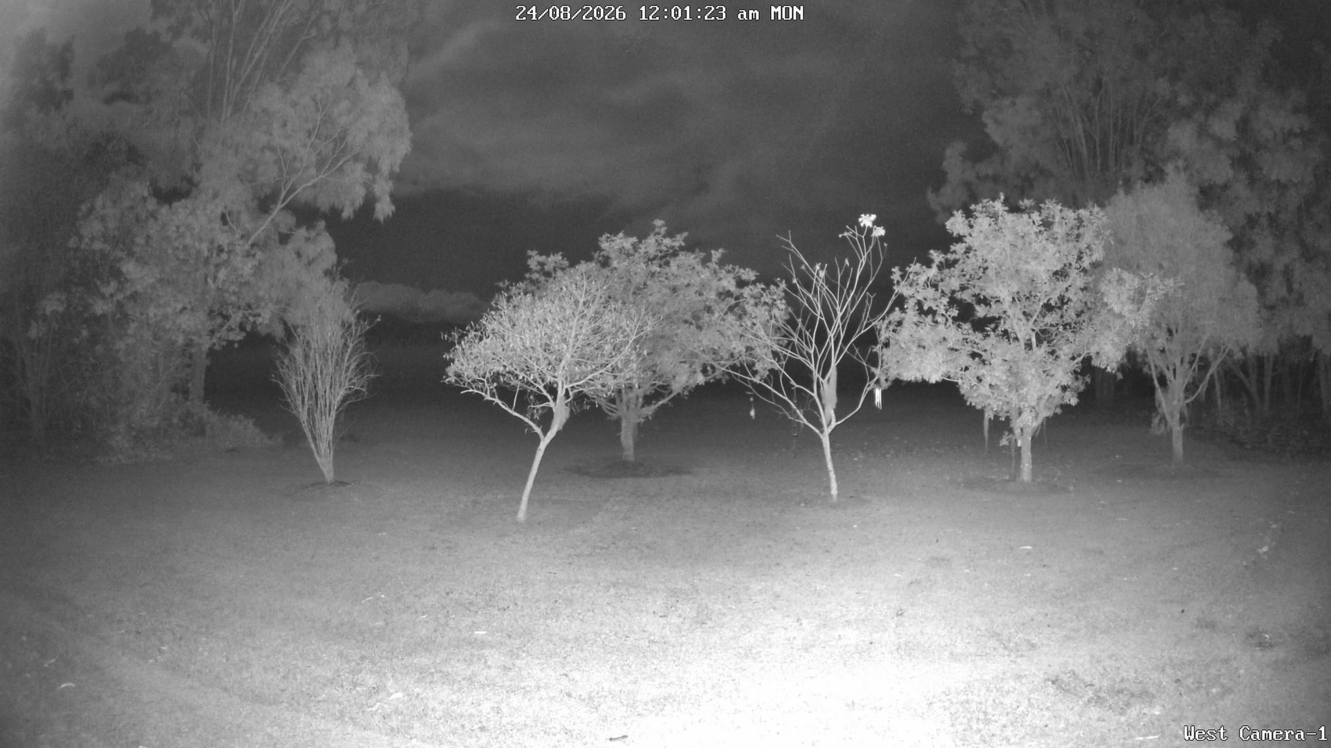time-lapse frame, KelseyCreek West View webcam