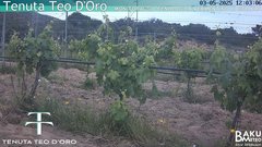 view from Teodoro on 2025-05-03