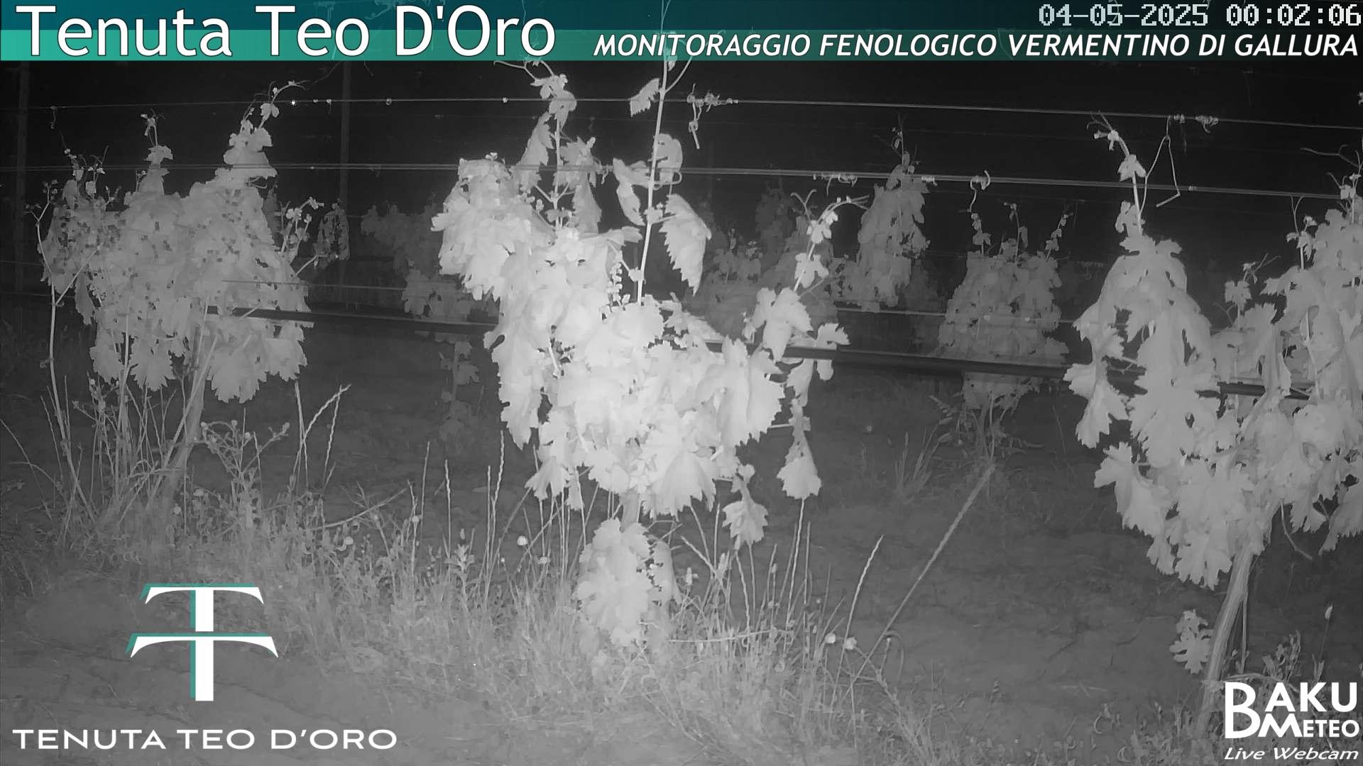 time-lapse frame, Teodoro webcam