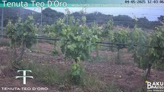 view from Teodoro on 2025-05-04
