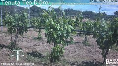view from Teodoro on 2025-05-07