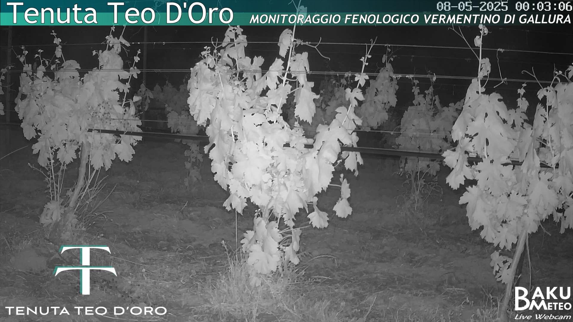 time-lapse frame, Teodoro webcam
