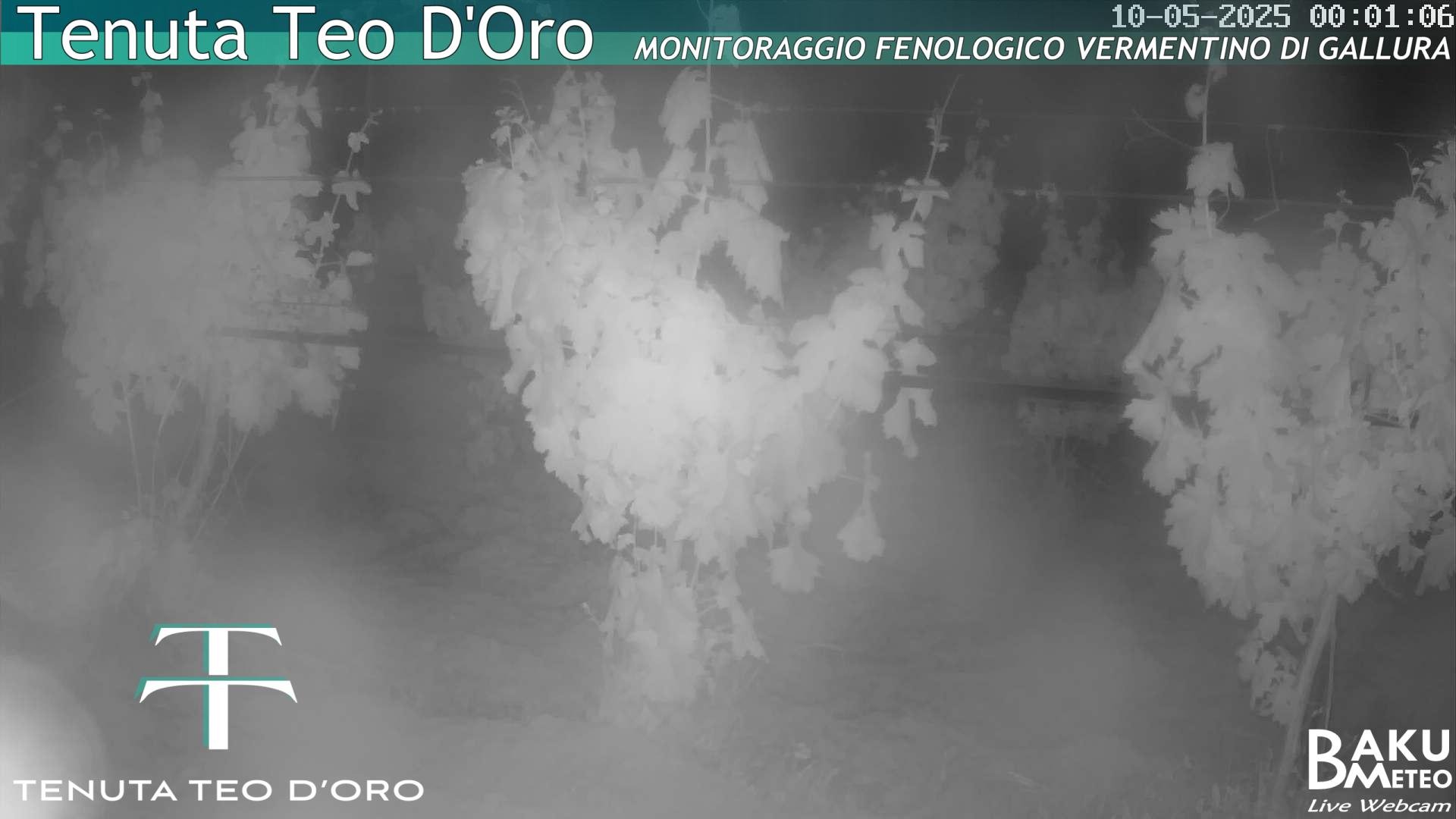 time-lapse frame, Teodoro webcam