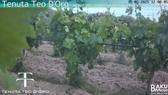 view from Teodoro on 2025-05-18