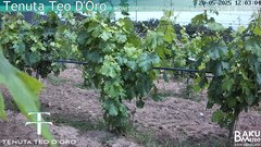 view from Teodoro on 2025-05-20