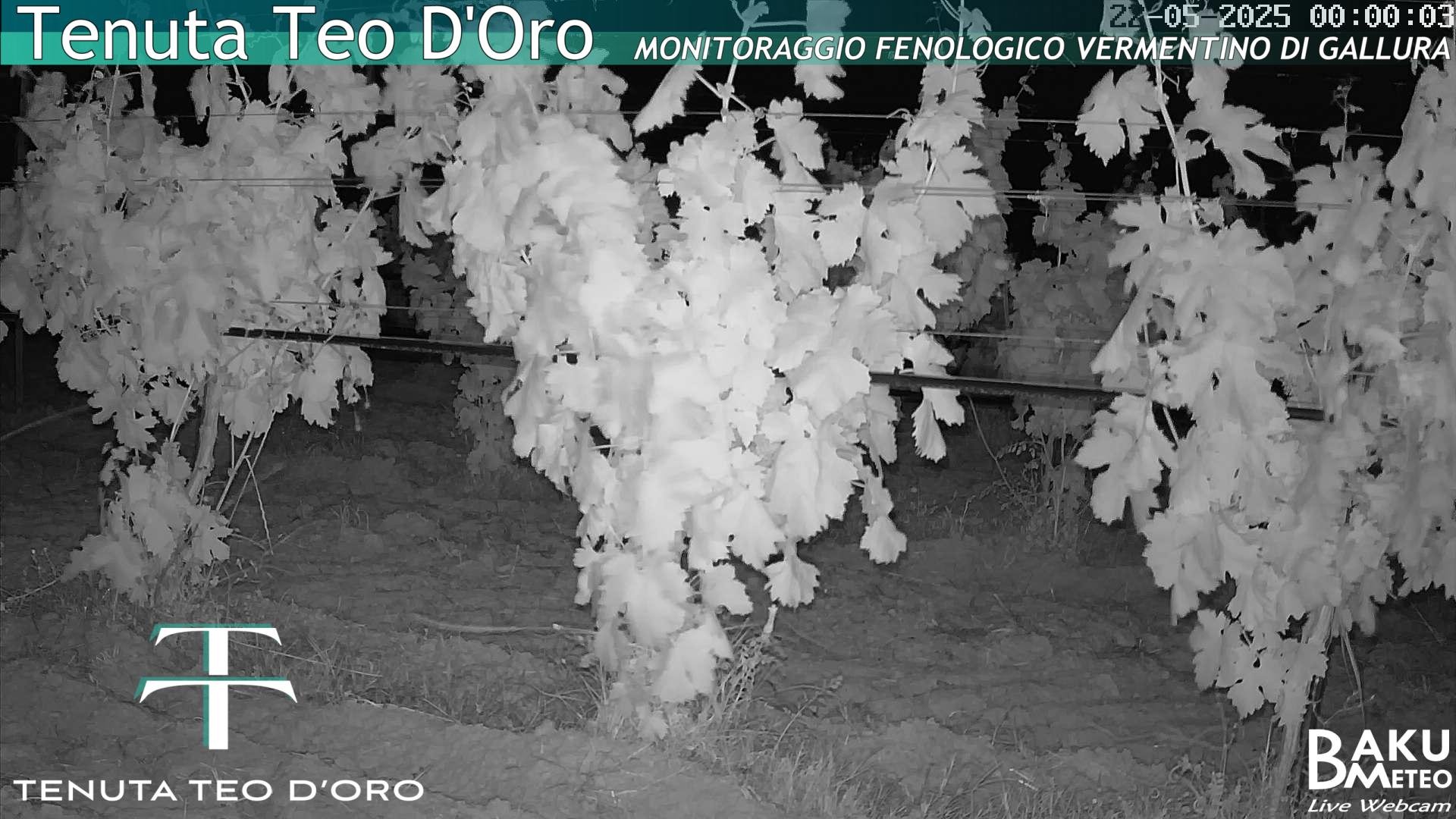 time-lapse frame, Teodoro webcam