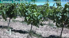 view from Teodoro on 2025-05-24