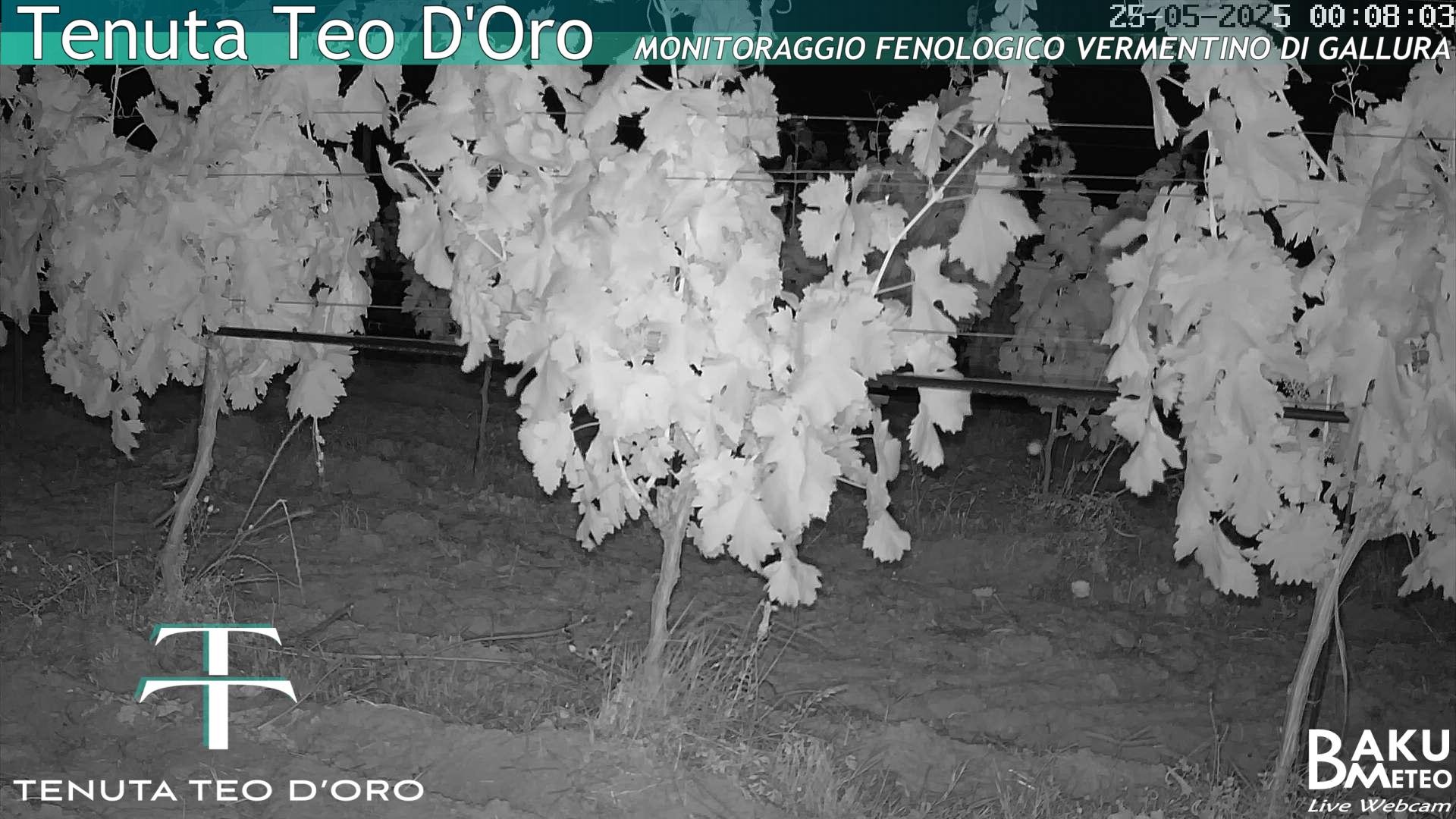 time-lapse frame, Teodoro webcam