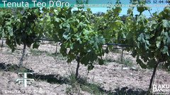 view from Teodoro on 2025-05-26