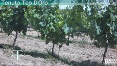 view from Teodoro on 2025-06-04