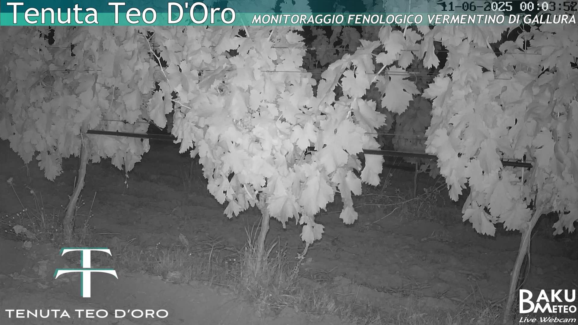 time-lapse frame, Teodoro webcam