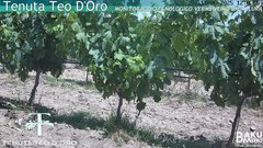view from Teodoro on 2025-06-11