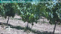 view from Teodoro on 2025-06-13