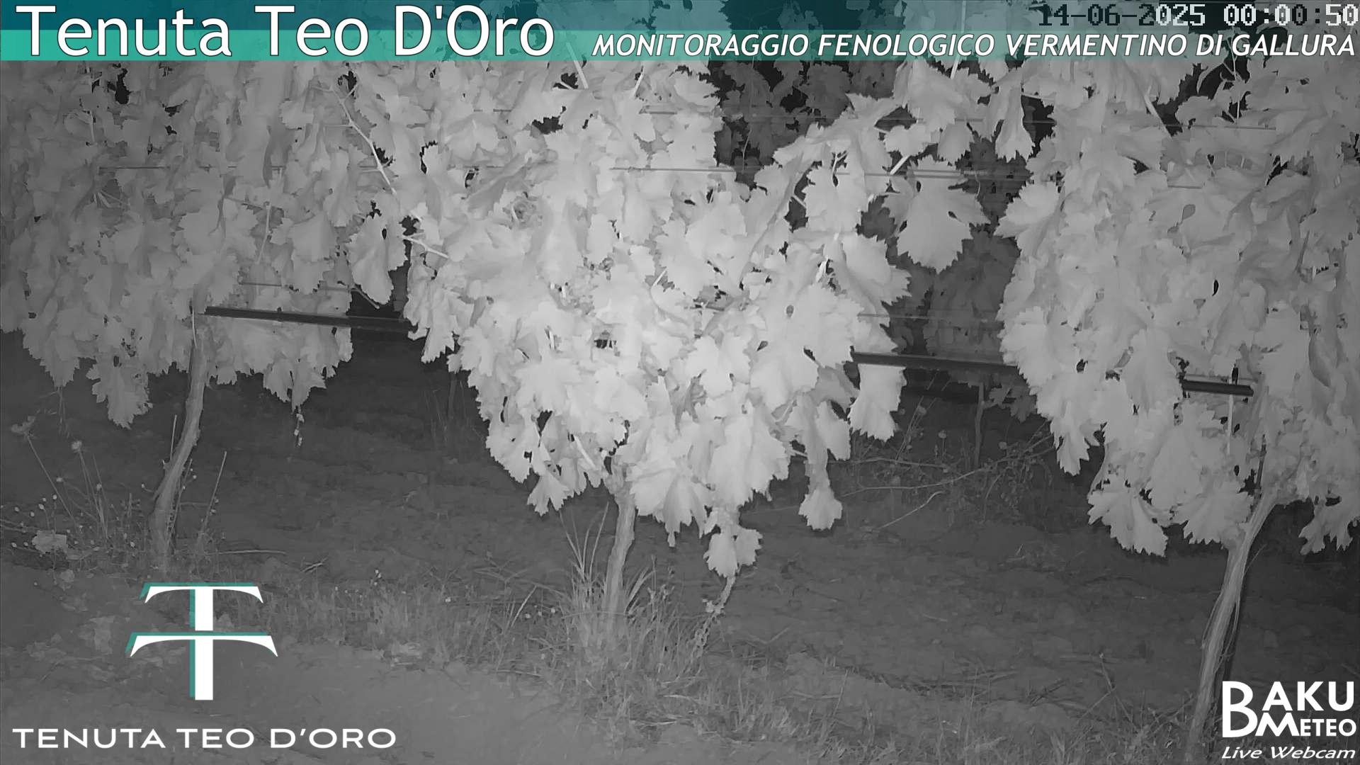 time-lapse frame, Teodoro webcam