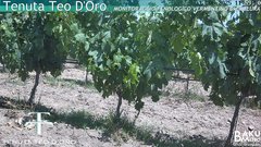 view from Teodoro on 2025-06-14