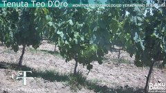 view from Teodoro on 2025-06-17