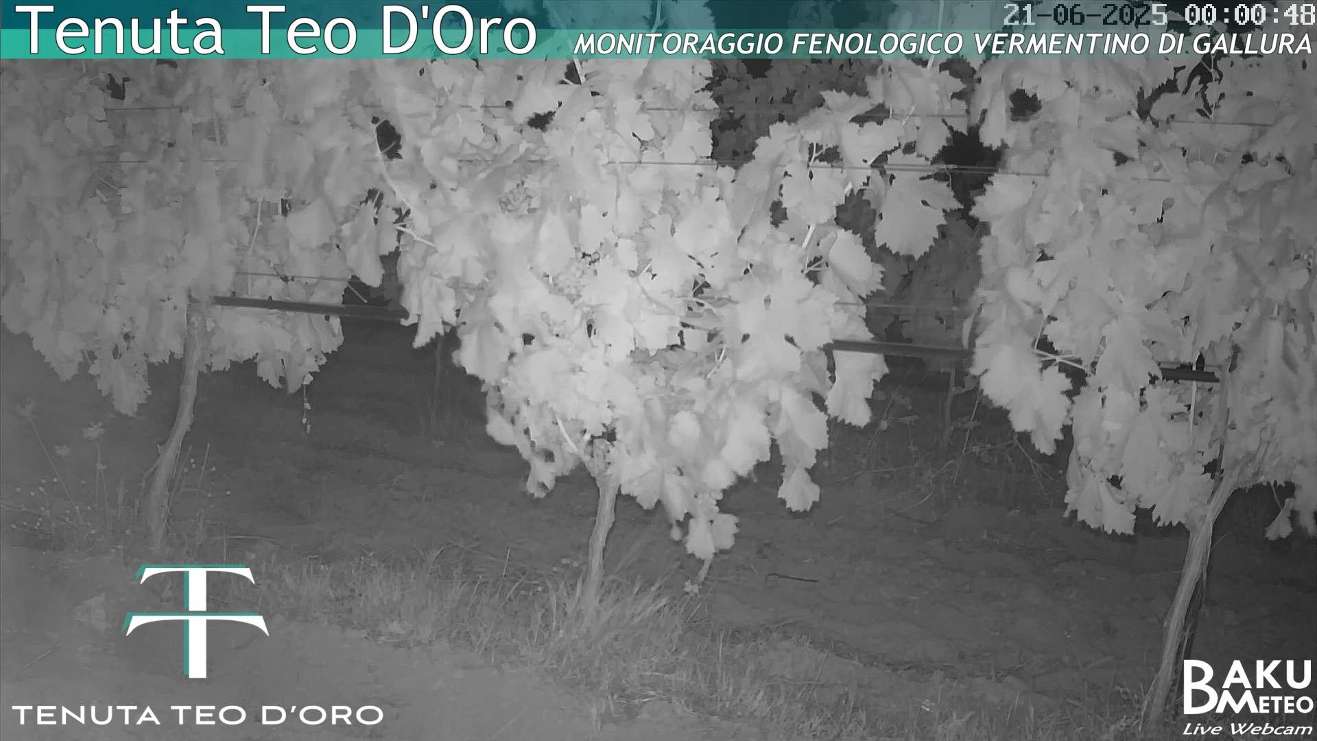 time-lapse frame, Teodoro webcam