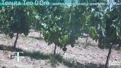 view from Teodoro on 2025-06-22