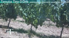 view from Teodoro on 2025-06-23