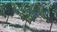 view from Teodoro on 2025-06-24