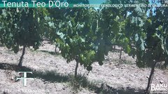 view from Teodoro on 2025-06-29