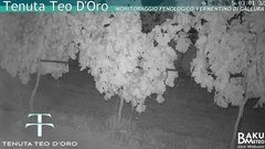 view from Teodoro on 2025-07-01