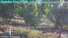 view from Teodoro on 2025-07-01