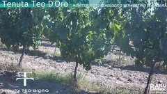 view from Teodoro on 2025-07-01
