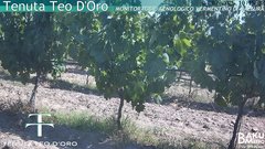 view from Teodoro on 2025-07-01
