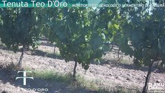 view from Teodoro on 2025-07-01