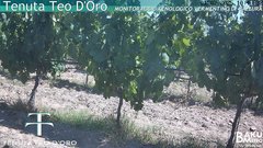 view from Teodoro on 2025-07-01
