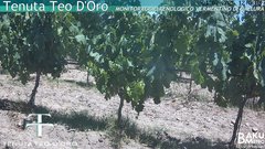 view from Teodoro on 2025-07-01