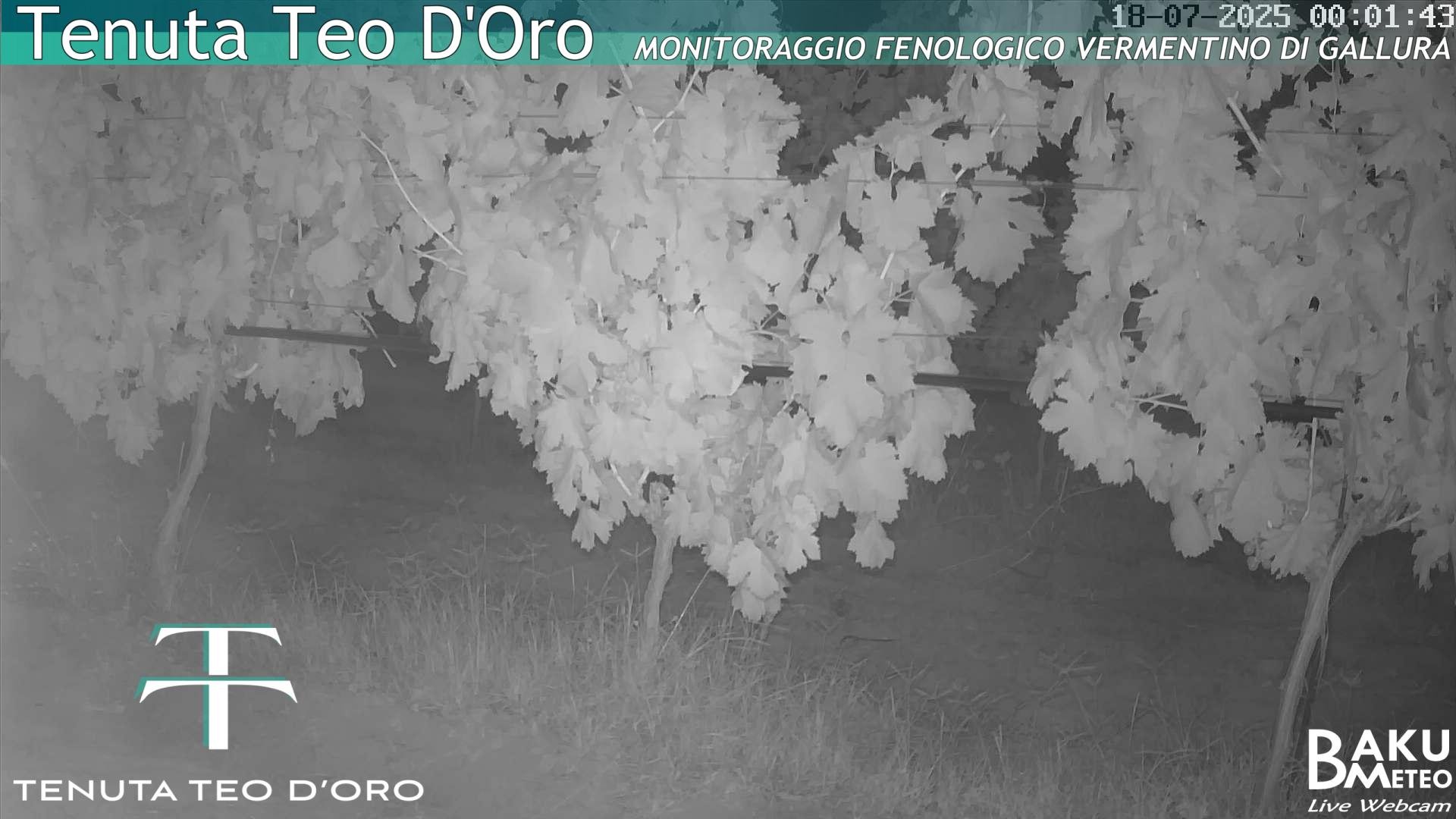 time-lapse frame, Teodoro webcam
