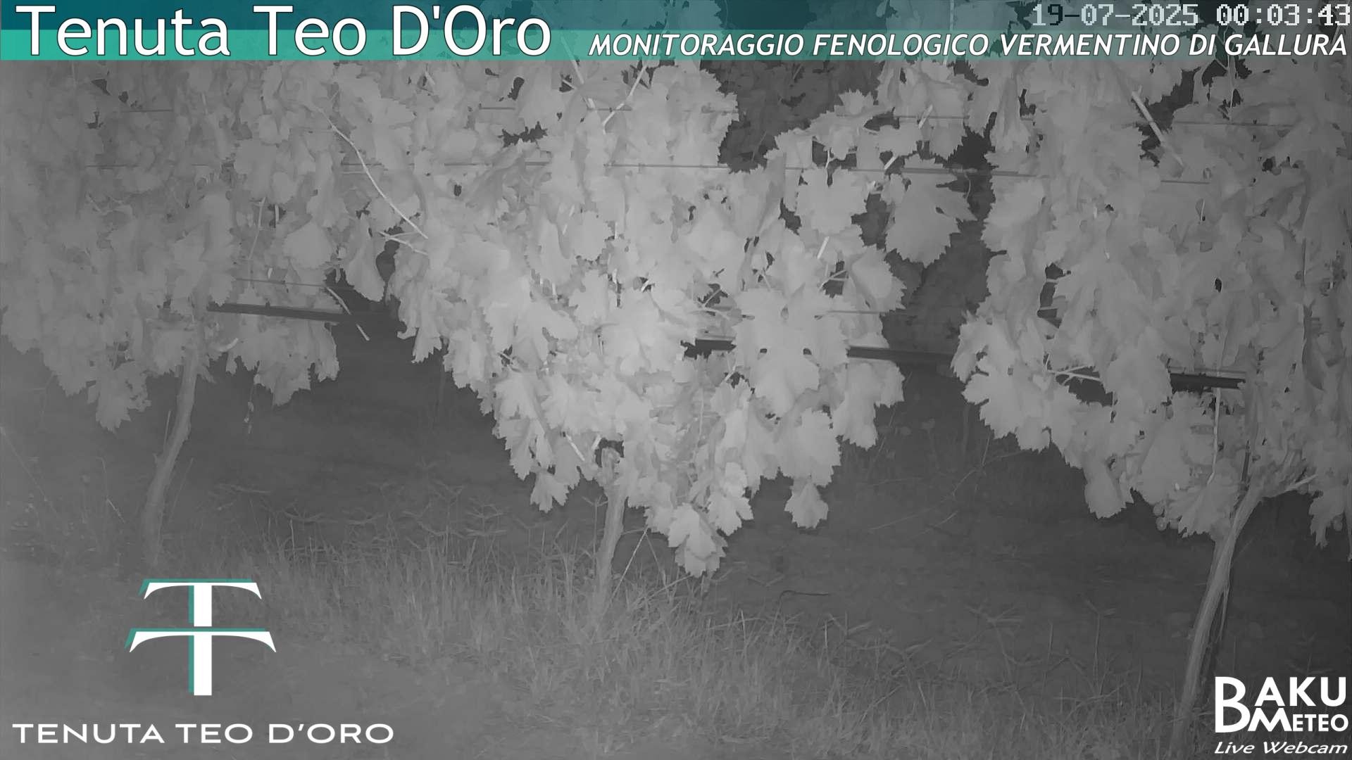 time-lapse frame, Teodoro webcam