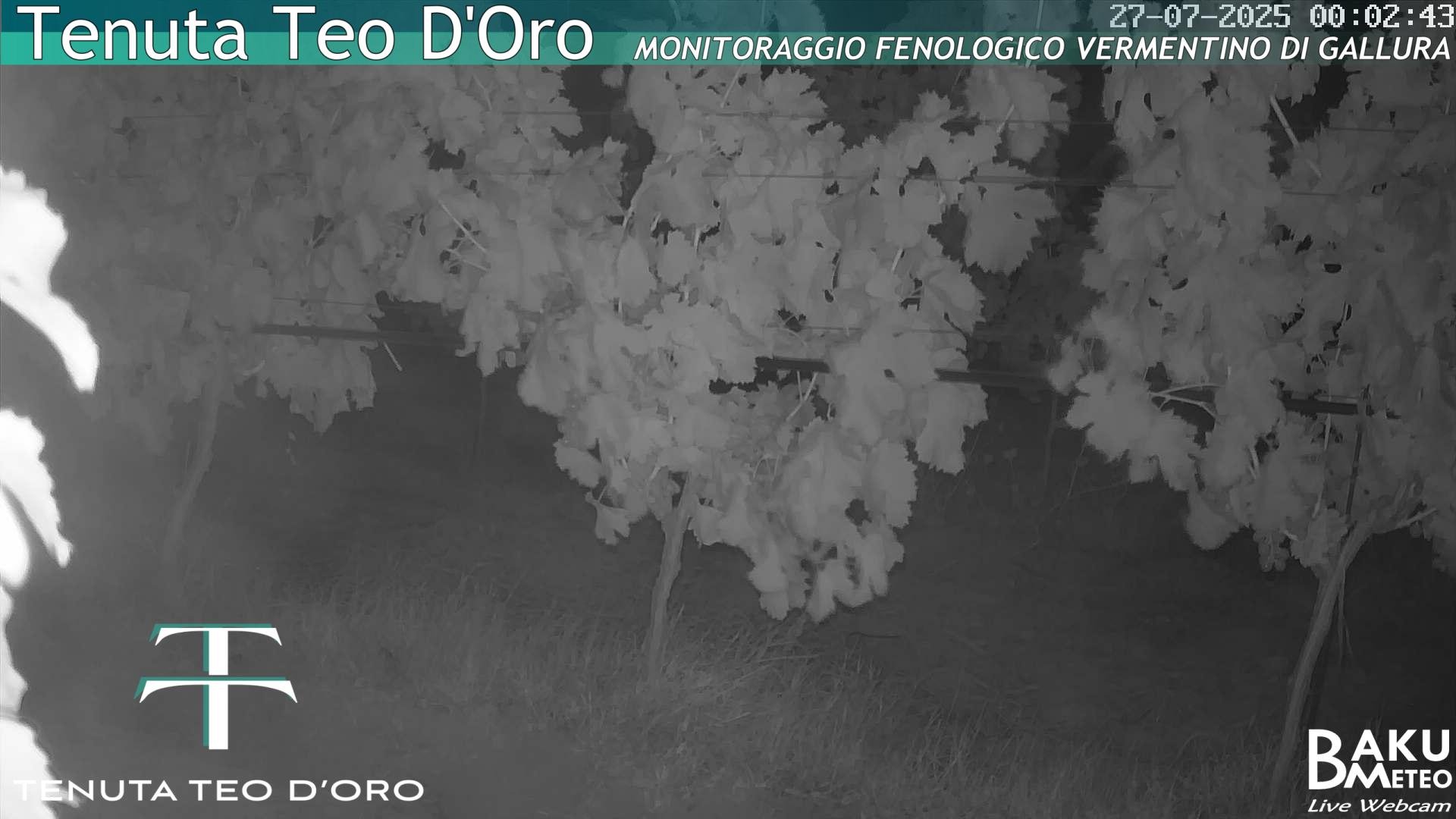 time-lapse frame, Teodoro webcam