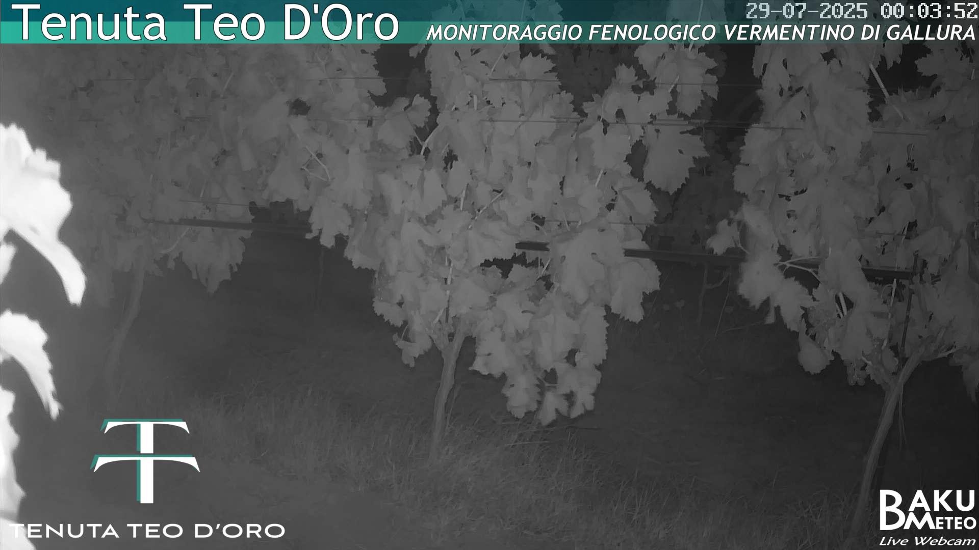 time-lapse frame, Teodoro webcam