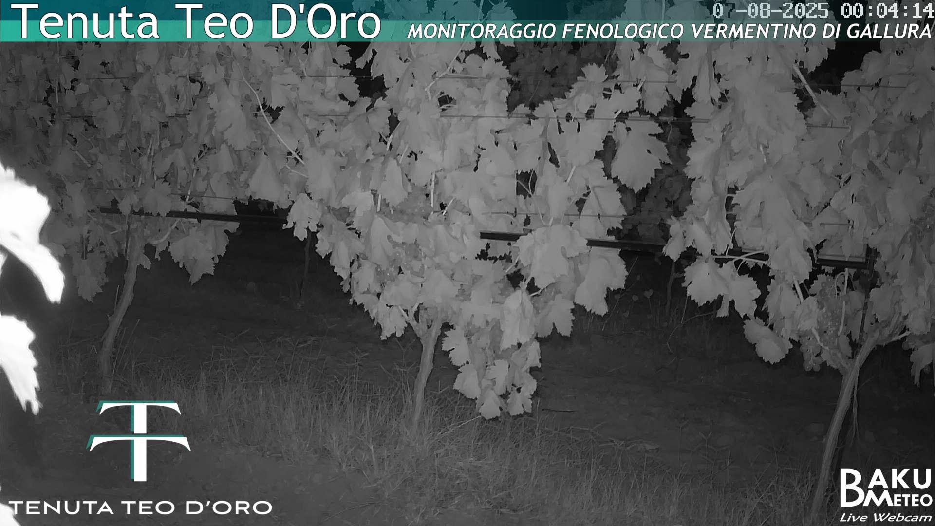 time-lapse frame, Teodoro webcam