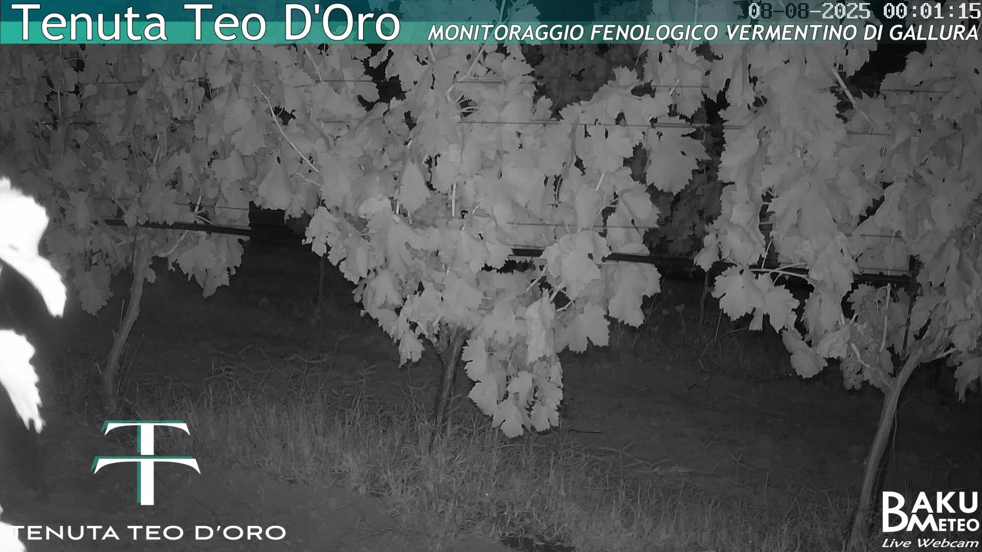 time-lapse frame, Teodoro webcam