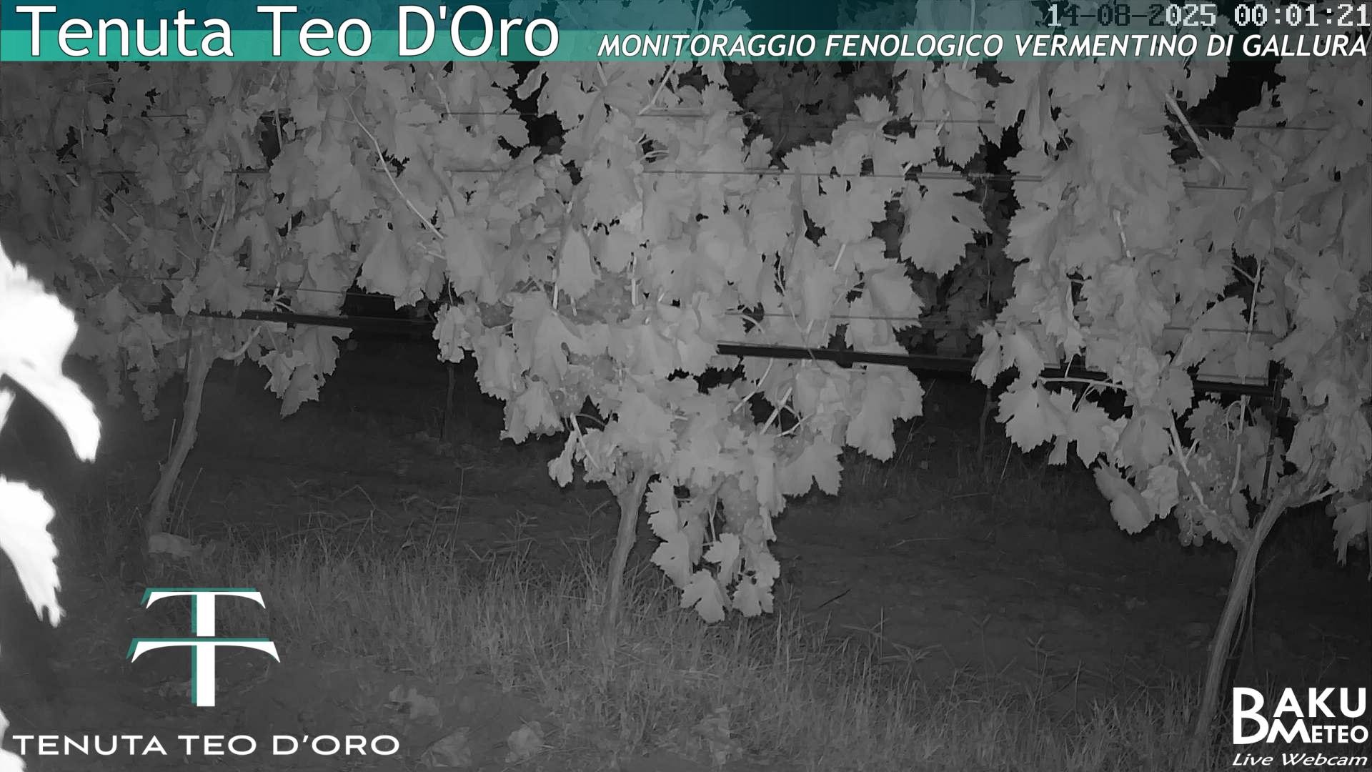 time-lapse frame, Teodoro webcam