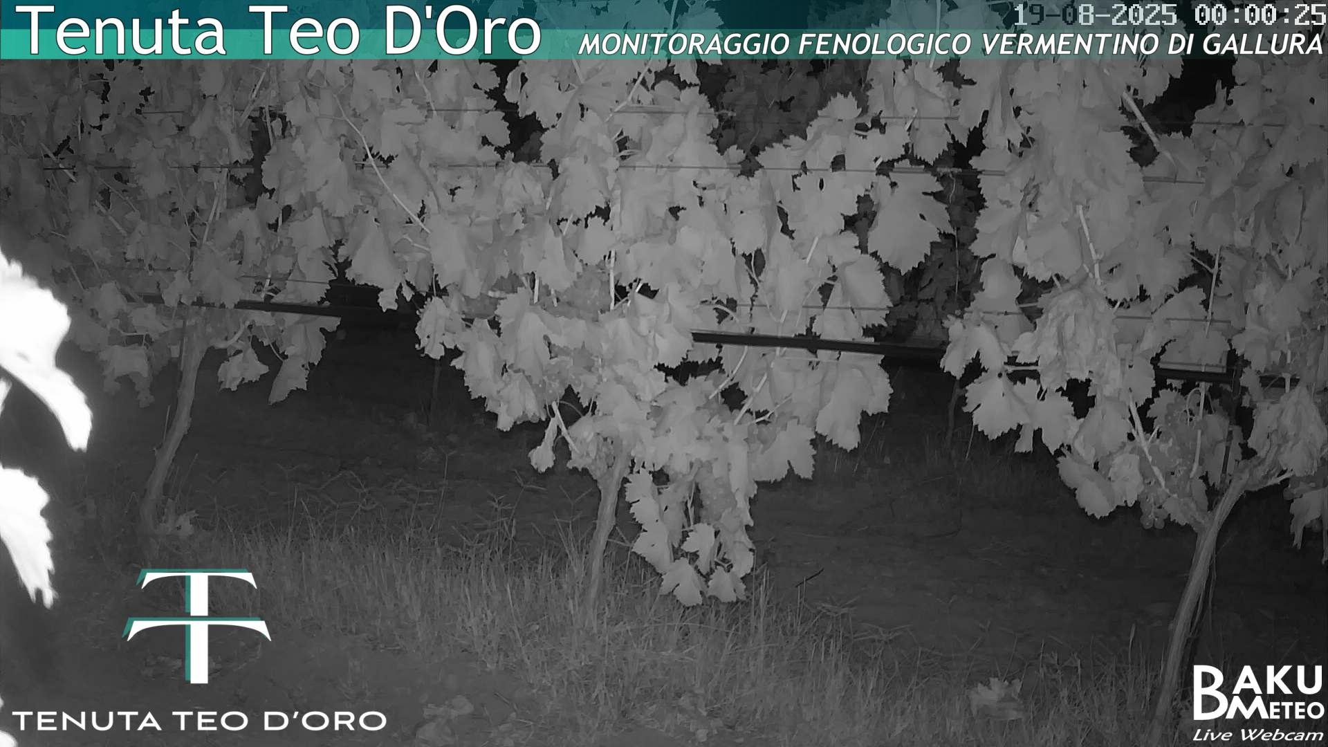 time-lapse frame, Teodoro webcam