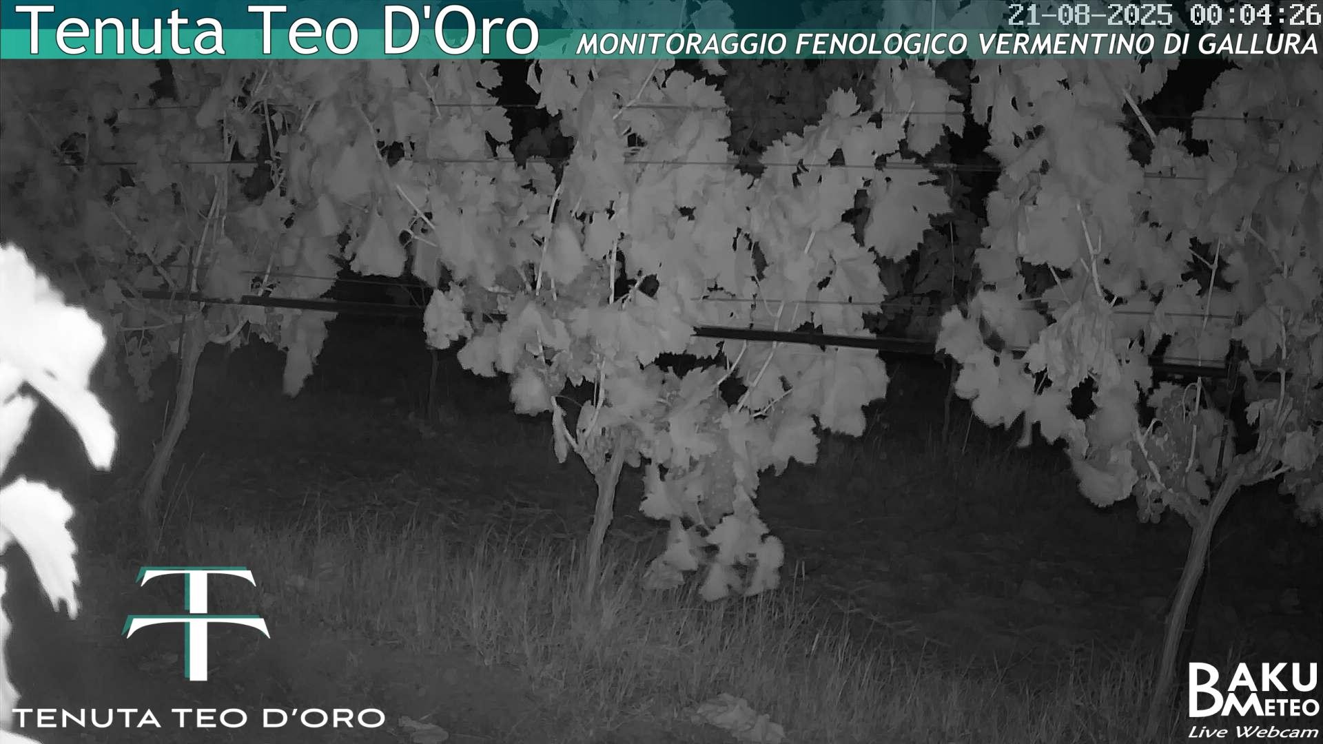time-lapse frame, Teodoro webcam
