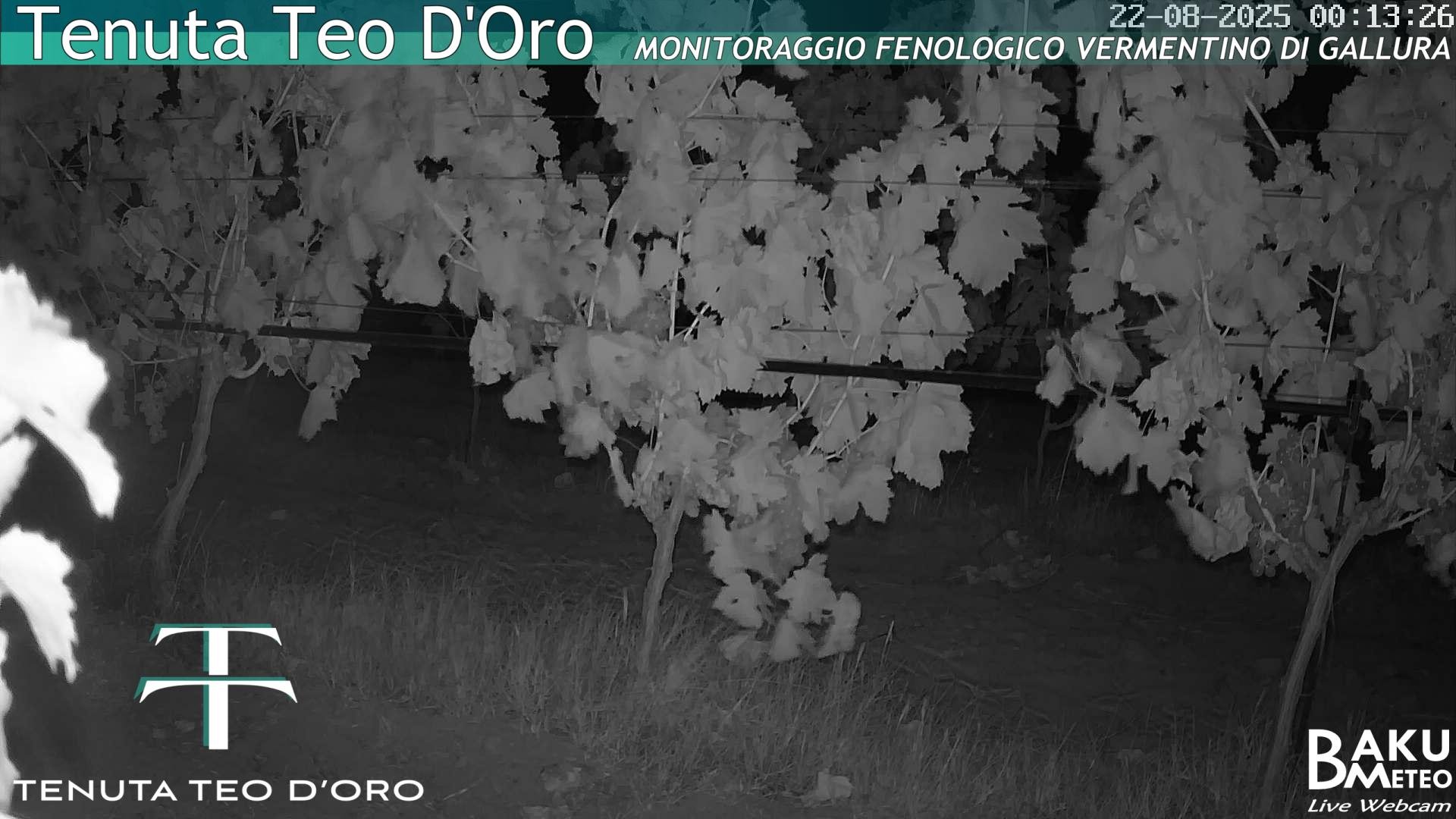 time-lapse frame, Teodoro webcam