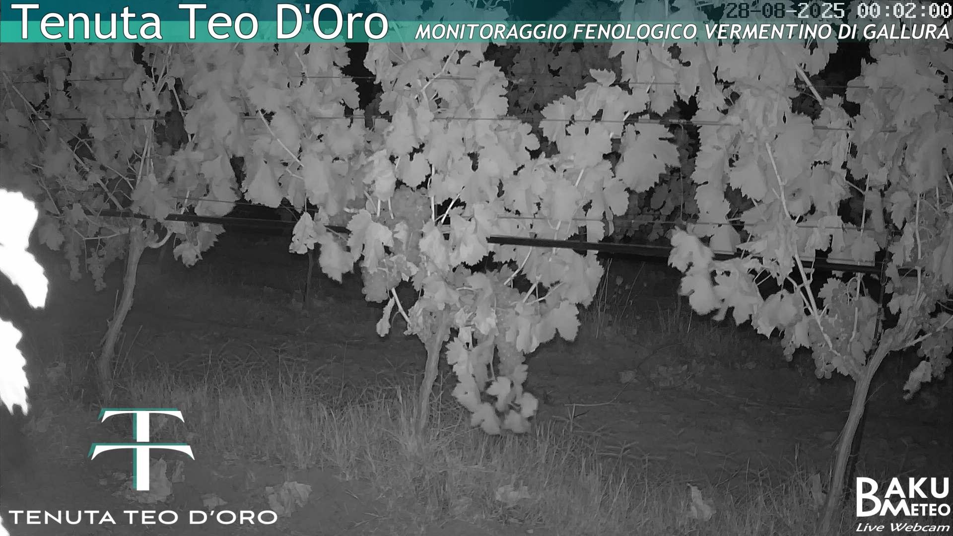 time-lapse frame, Teodoro webcam