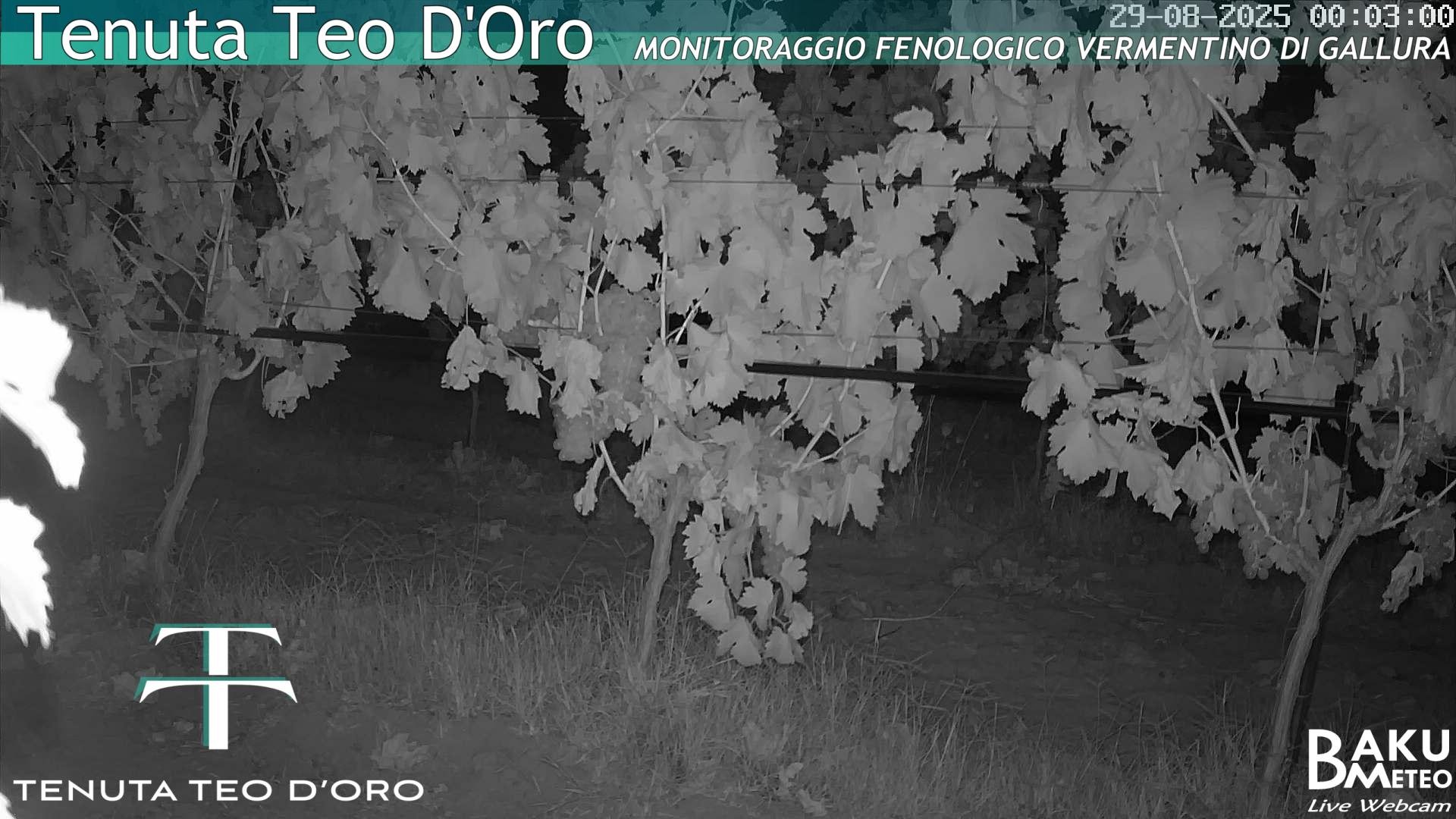 time-lapse frame, Teodoro webcam