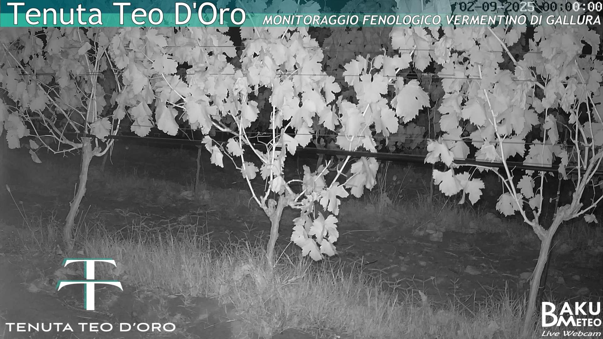 time-lapse frame, Teodoro webcam